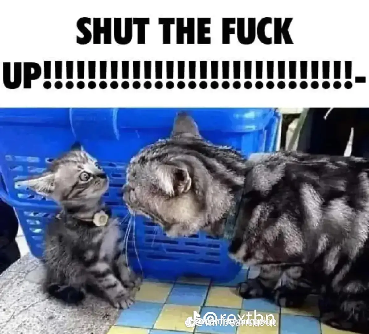 Hot Take Lmao Fandom