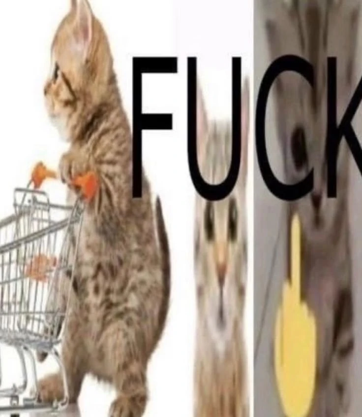 FUCK Fandom