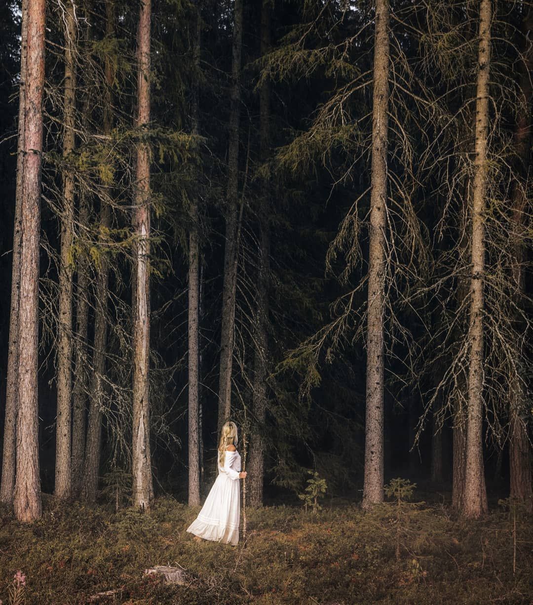 Jonna Jinton фотографии лес