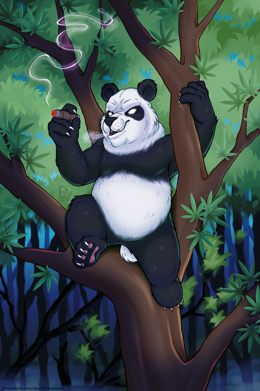 Koda The Naked Panda Fandom