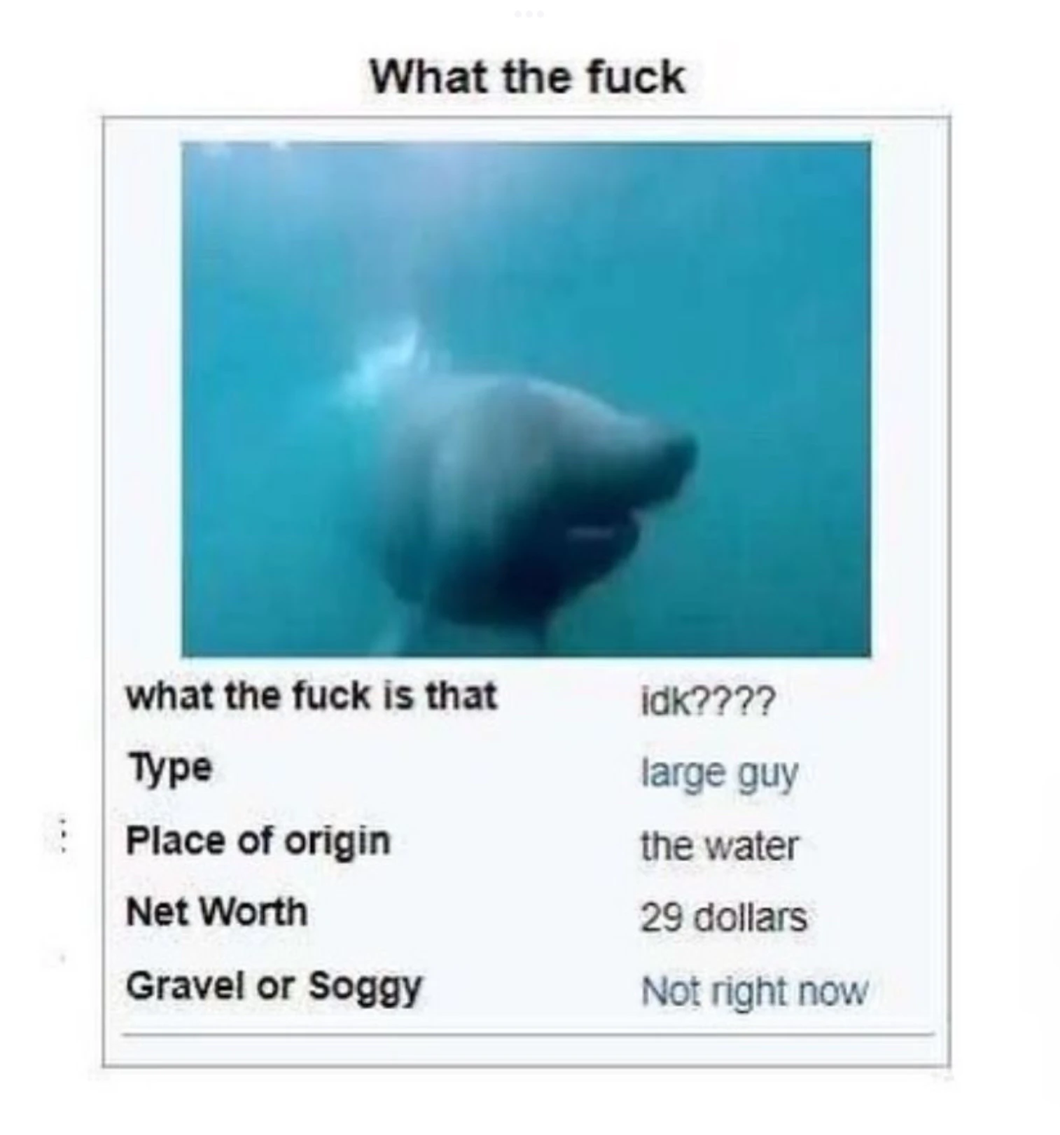 What The Fuck Fandom