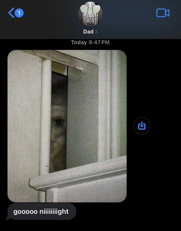 What The Fuck Dad Fandom