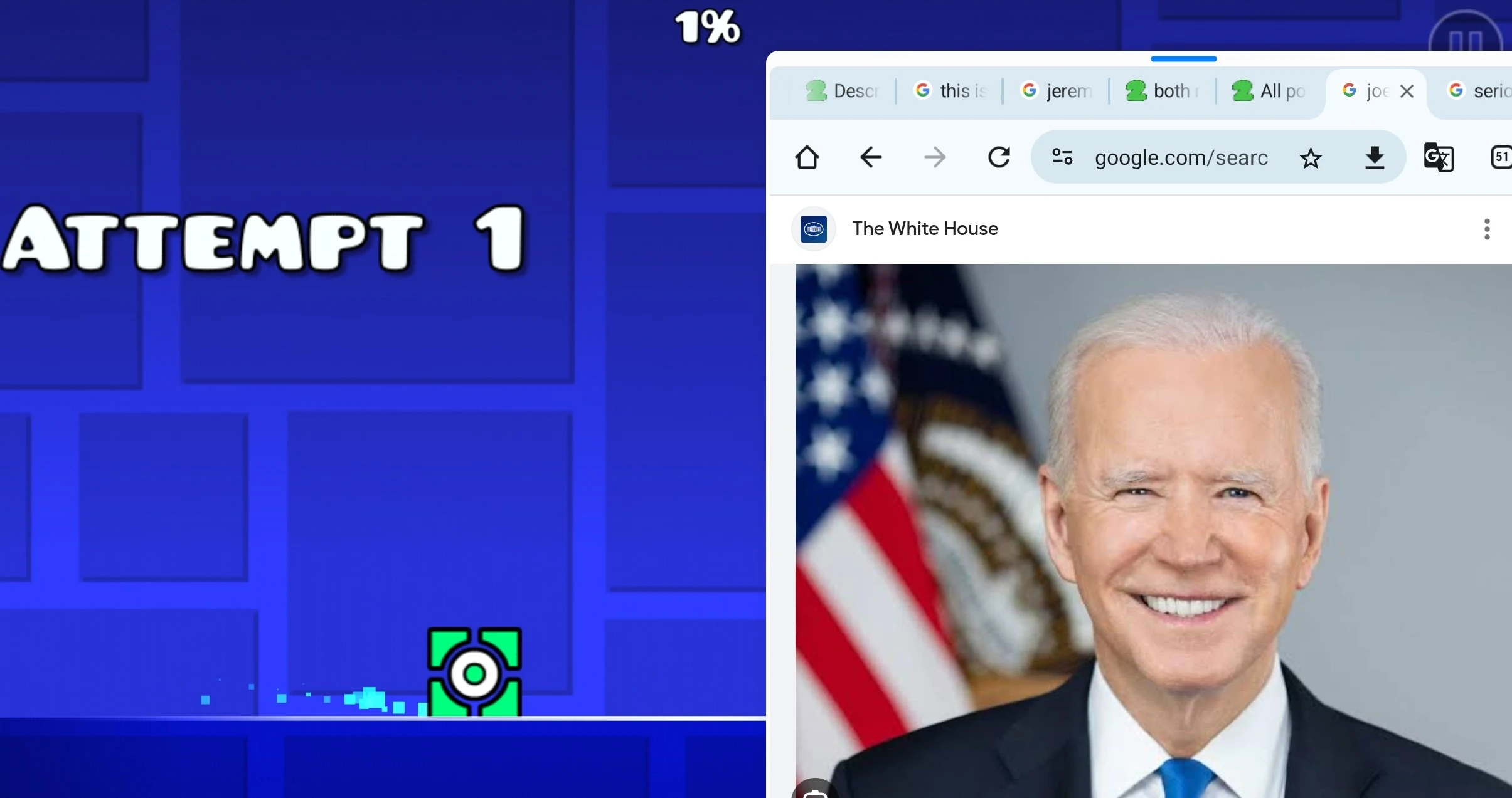 What The Fuck Did I Make Fandom