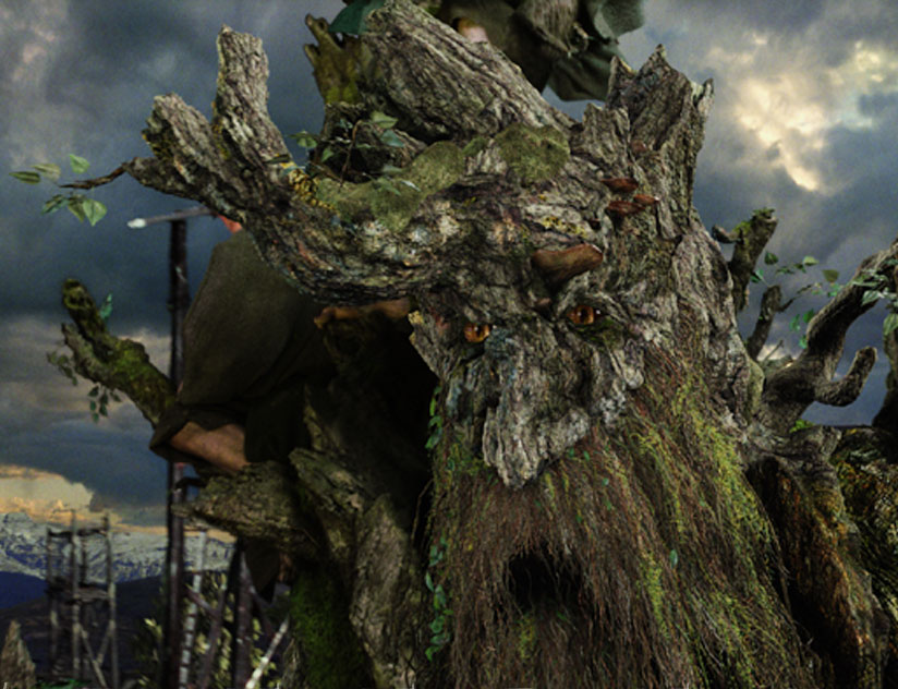 Fangorn Властелин колец