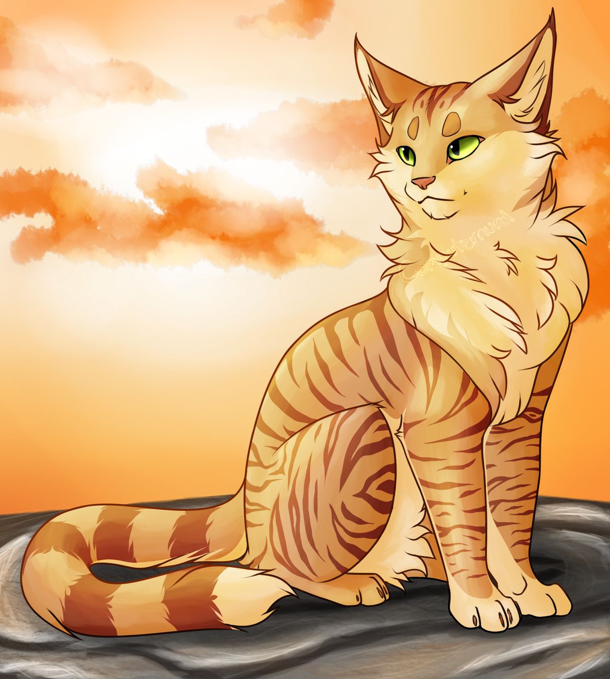 Коты воители красивые