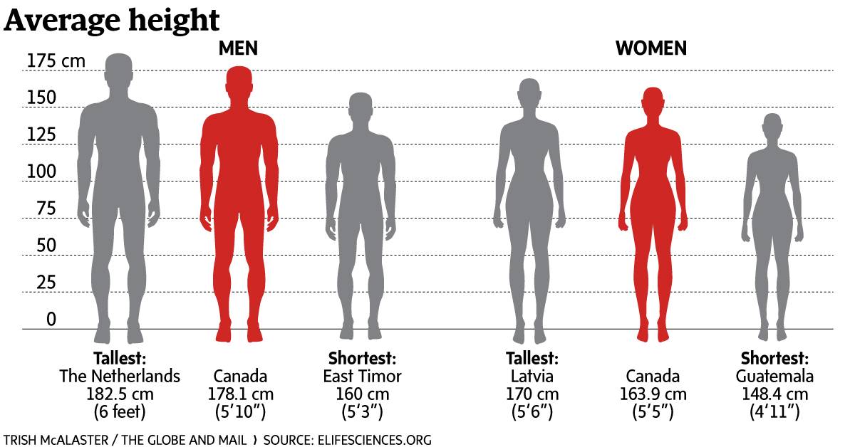 Are midget penises normal human sized