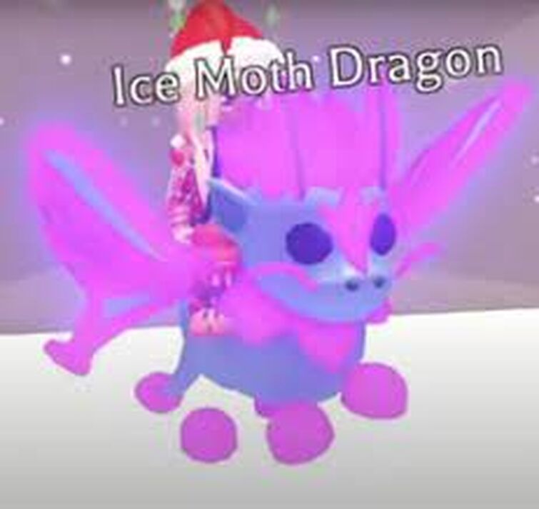 seeing offers for my mega ice moth dragon｜TikTok Search