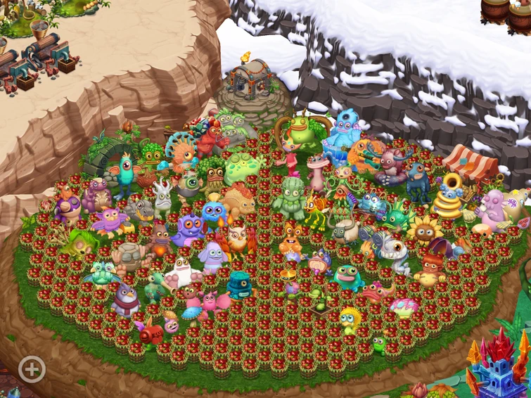 pencil cactus Pencil Cactus  Plant Shop GR