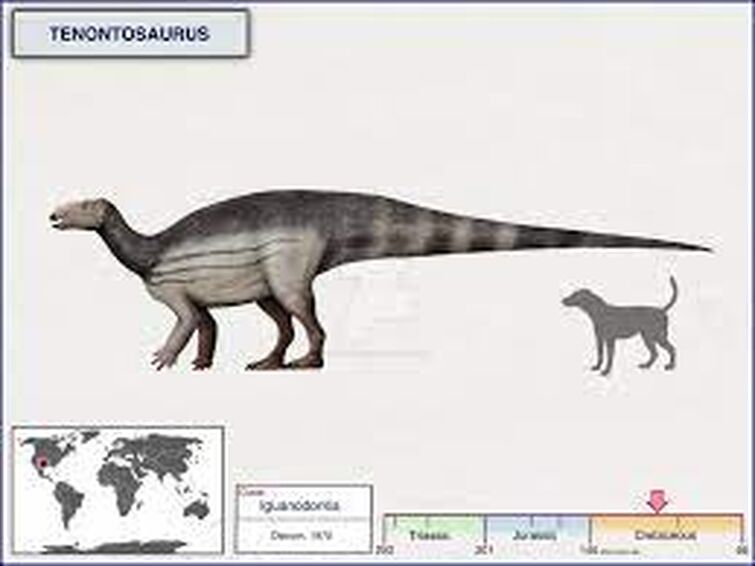 deinonychus size comparison