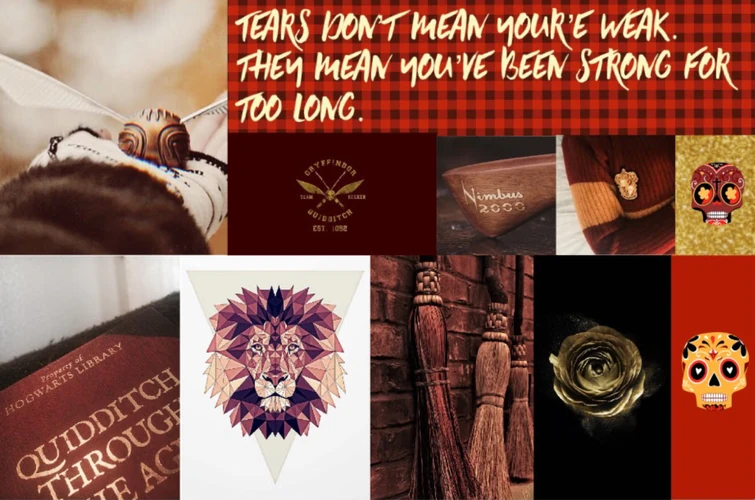 Featured image of post The Best 9 Quidditch Wallpaper Gryffindor Harry Potter