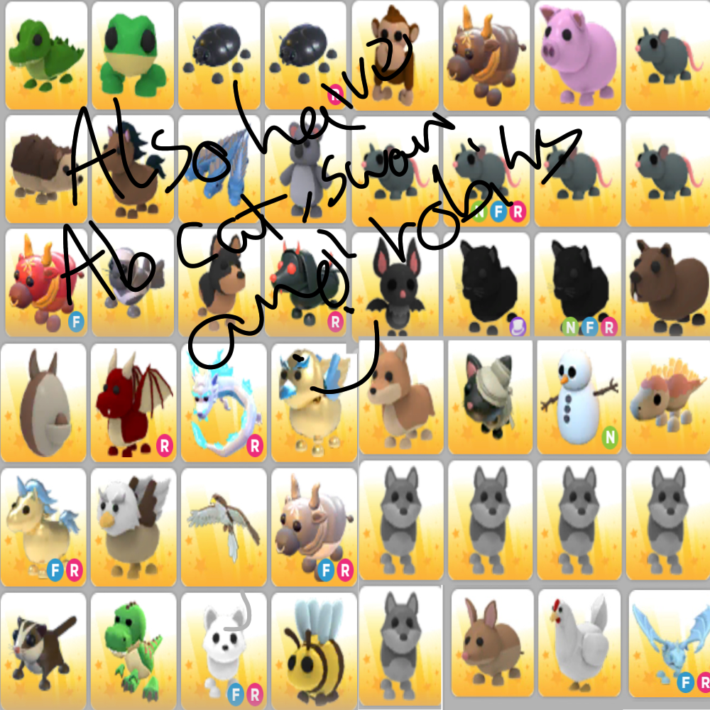 Trading Pets including Frost and Dodo | Fandom