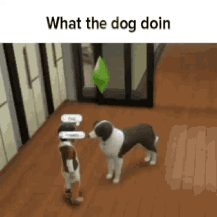 Gtg in ten minutes ( Fandom