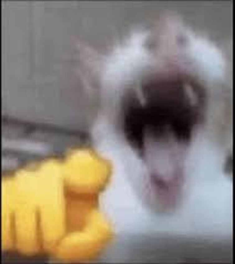 755