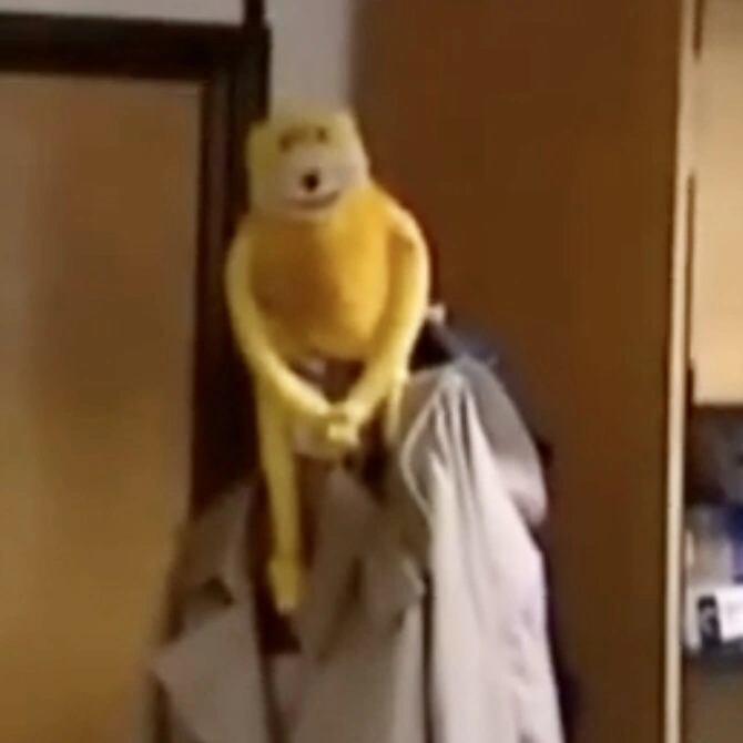 re lab monkey truck crash near scranton Fandom