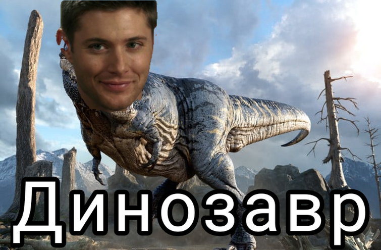 Fandom Image