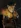 Wolfboy231