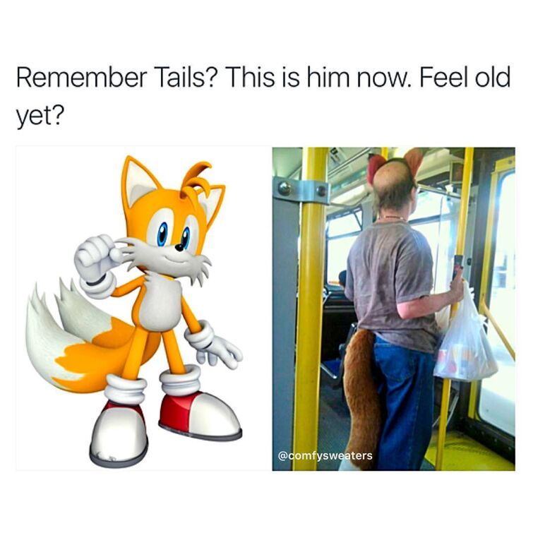 Tails meme | Fandom