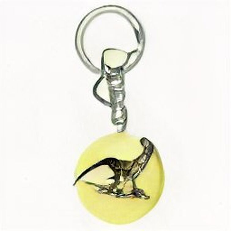 Pachycephalosaurus Keychain Dinosaur Keychain Fossil 