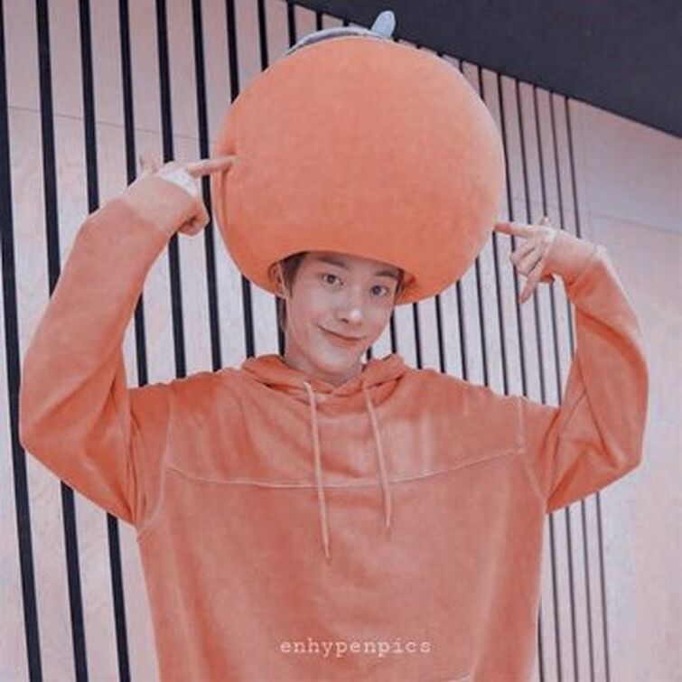 ENHYPEN Members Official Colors Fandom