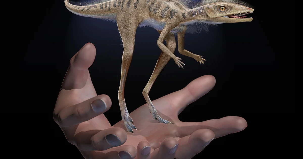 Newest discovery Everyone! Fandom