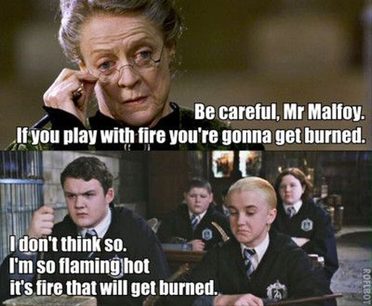 20 Harry Potter & Draco Malfoy Funny Memes