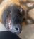 Just A Interesting Dog Here.'s avatar