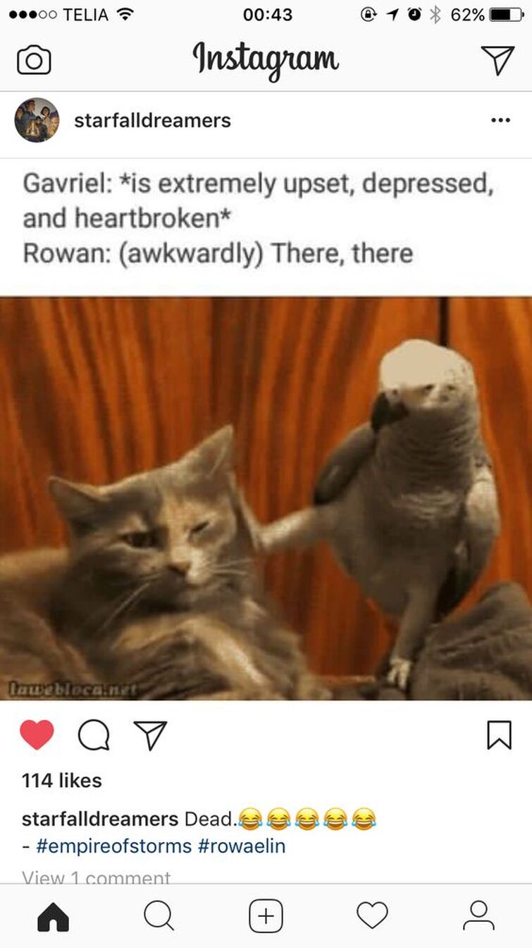 Fandom Image