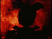 Idan666igh