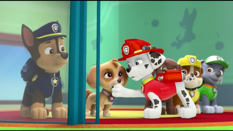 PAW Patrol Celebrates Friendship Day 💖 w/ Skye, Marshall & Chase, 30  Minute Compilation