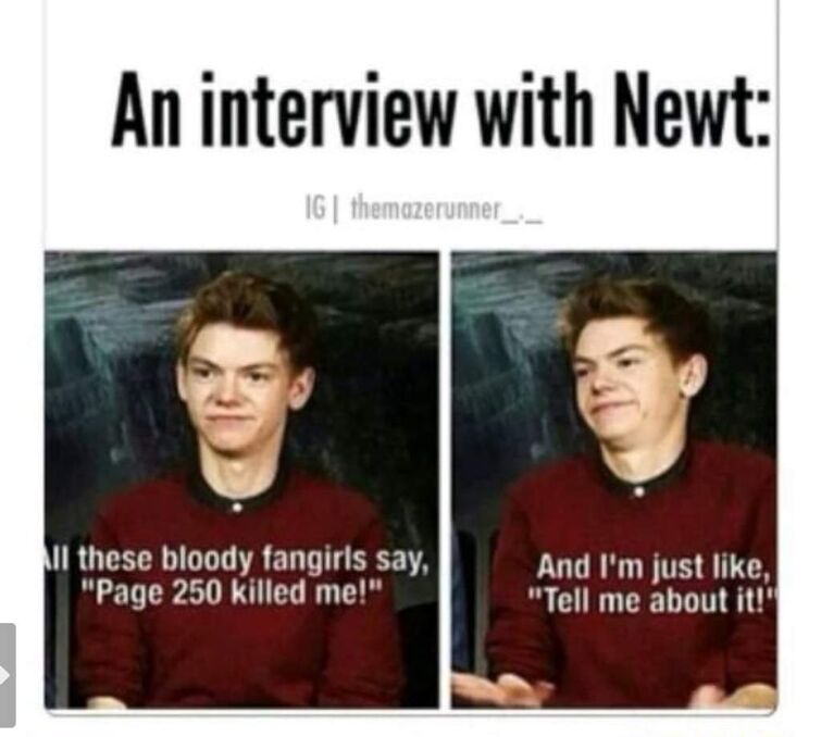 THOMAS BRODIE SANGSTER NEWT Fandom