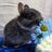 KittysF0rever's avatar