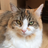 OmiCat4869's avatar