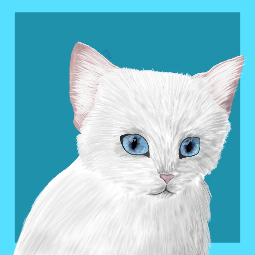 Картинки коты воители снежок