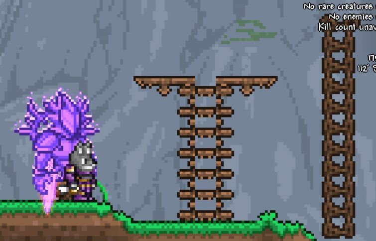 Ladder terraria deals