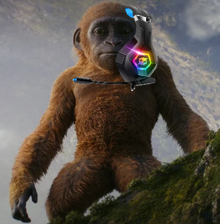 Fandom Image