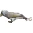 Noisy miner's avatar