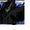 The Raven of Elysion