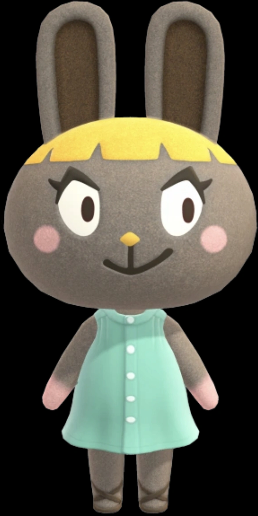 My Animal Crossing birthday twin reveal Fandom