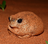 Ganimes's avatar