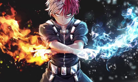 How Much Does Everyone Love Shoto Todoroki? | Fandom