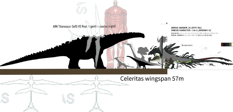 Gnolrok, Korathos, Boreal, Celery's wingspan in comparison to the ARK ...