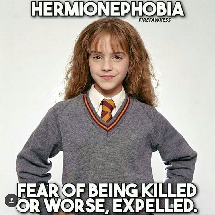 The best Hermione memes :) Memedroid