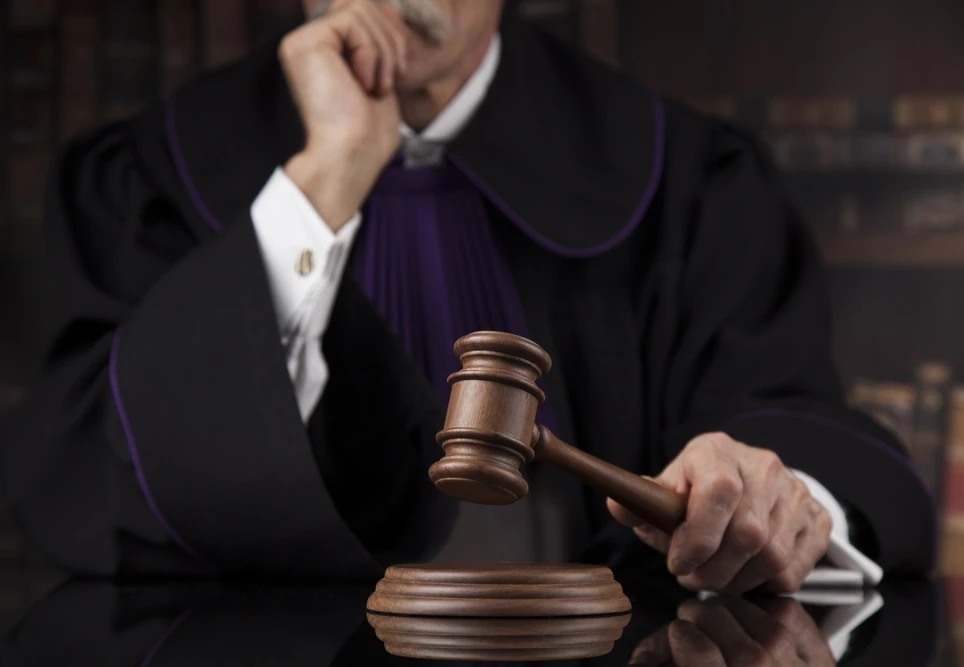 Primera enmienda Fandom