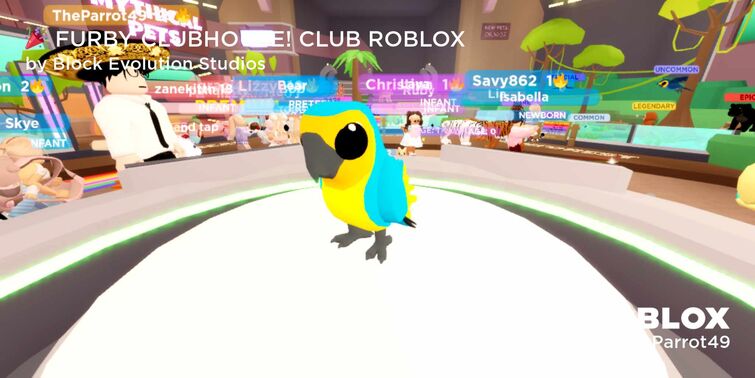 Pets, Club Roblox Wiki