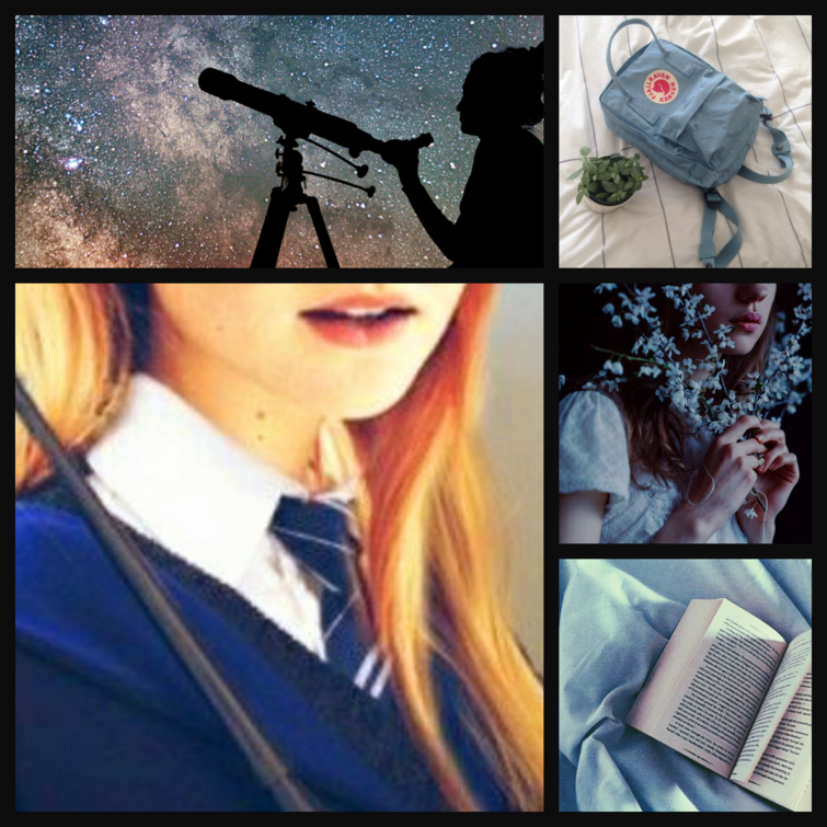 Fandom Image
