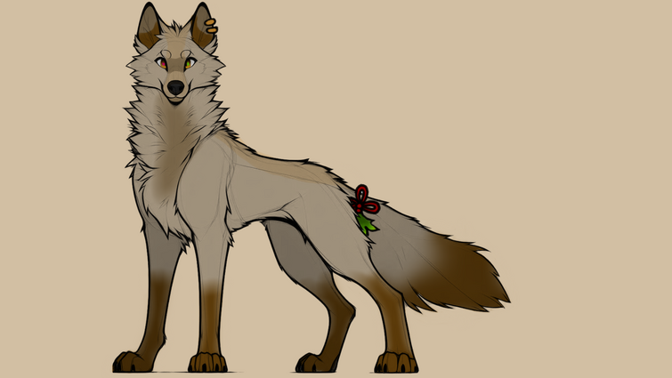 Fandom Image