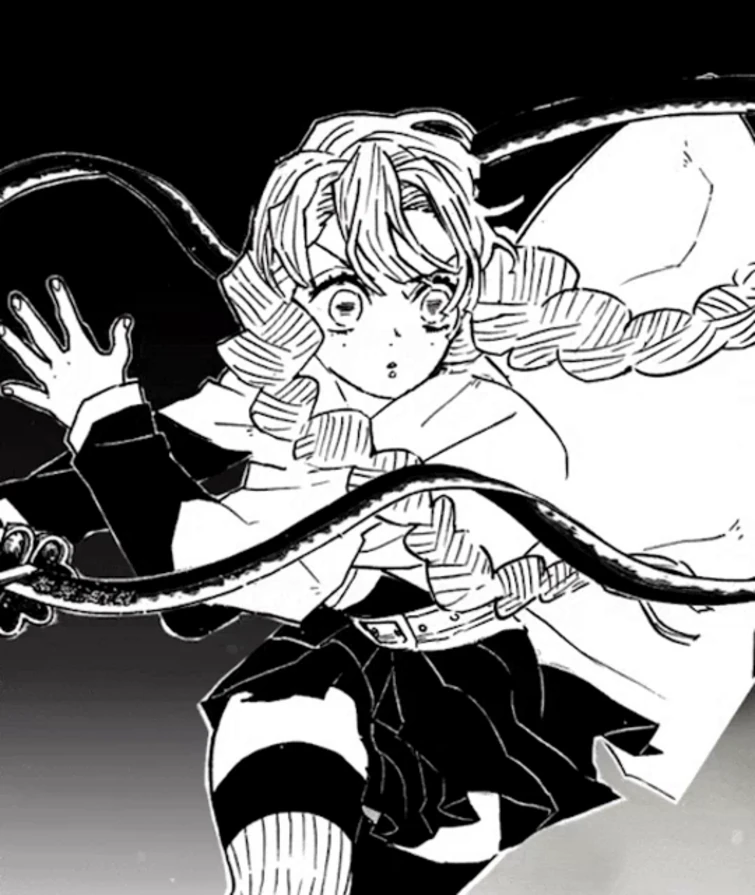 🌸Mitsuri🌸 | Fandom