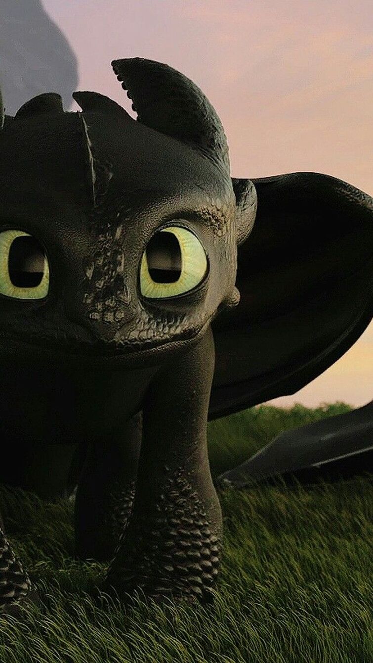 Про дракона 3. Как приручить дракона 1 Беззубик. HTTYD Беззубик.