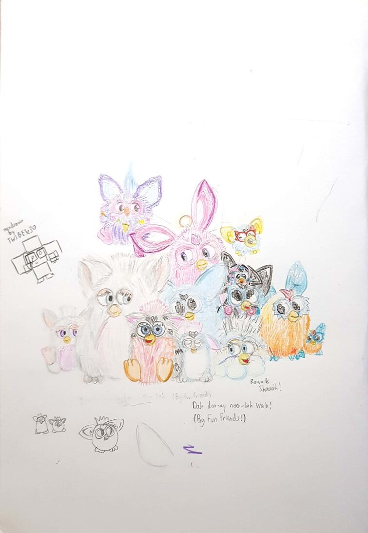 Fandom Image
