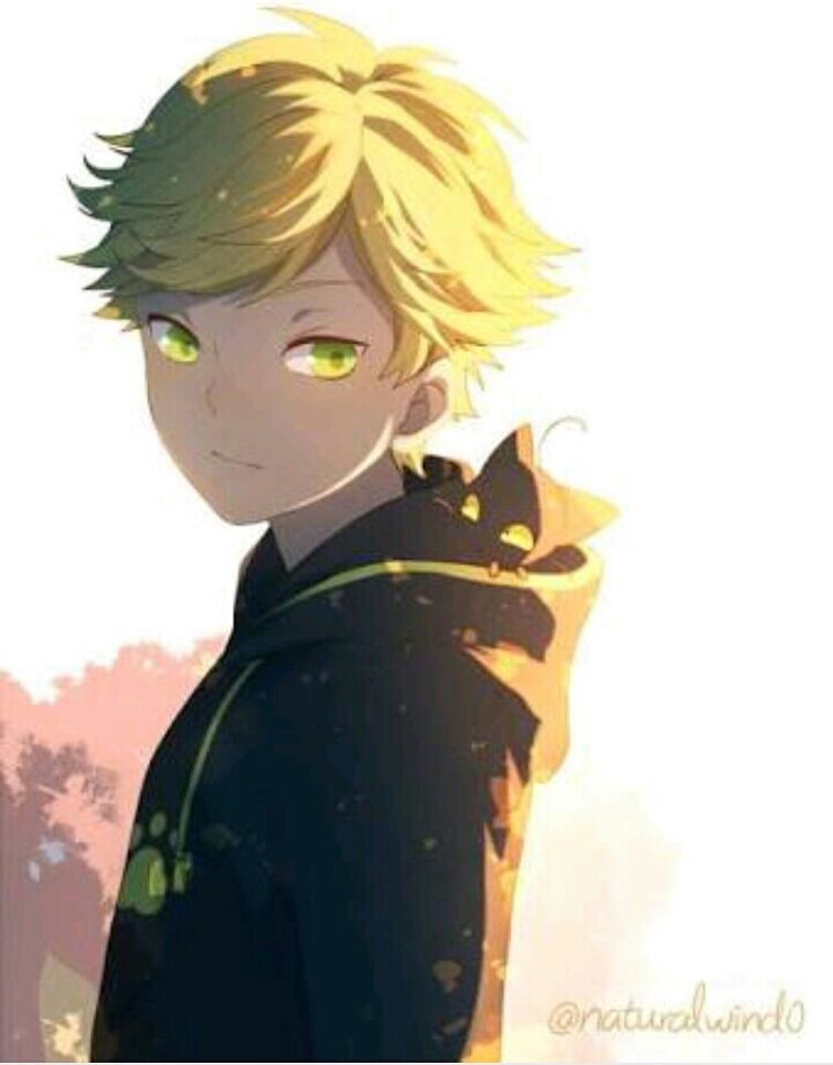 Adrien/Cat Noir as an ANIME character(Fanart is NOT mine